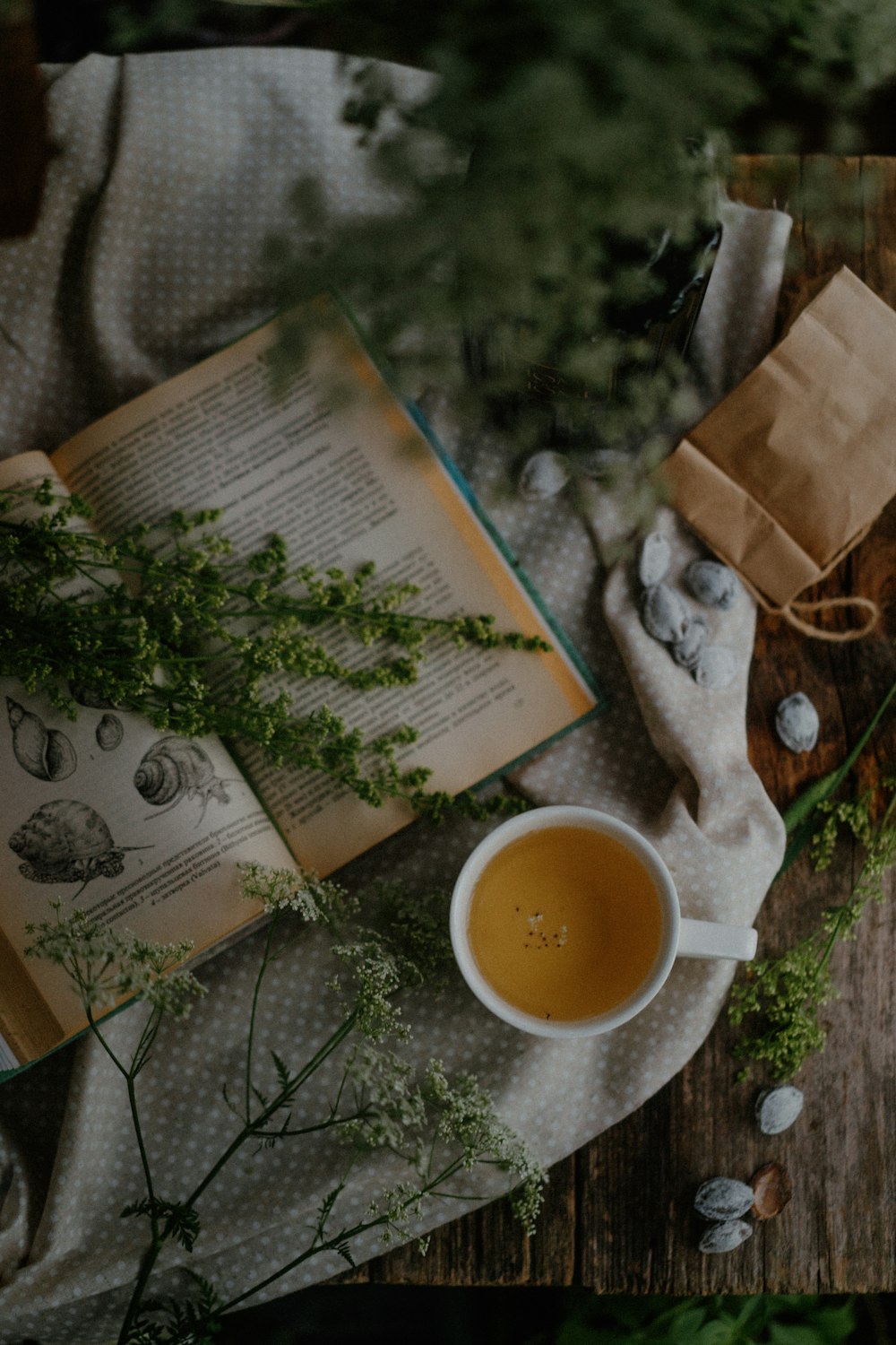 a cup of tea and a book on a table