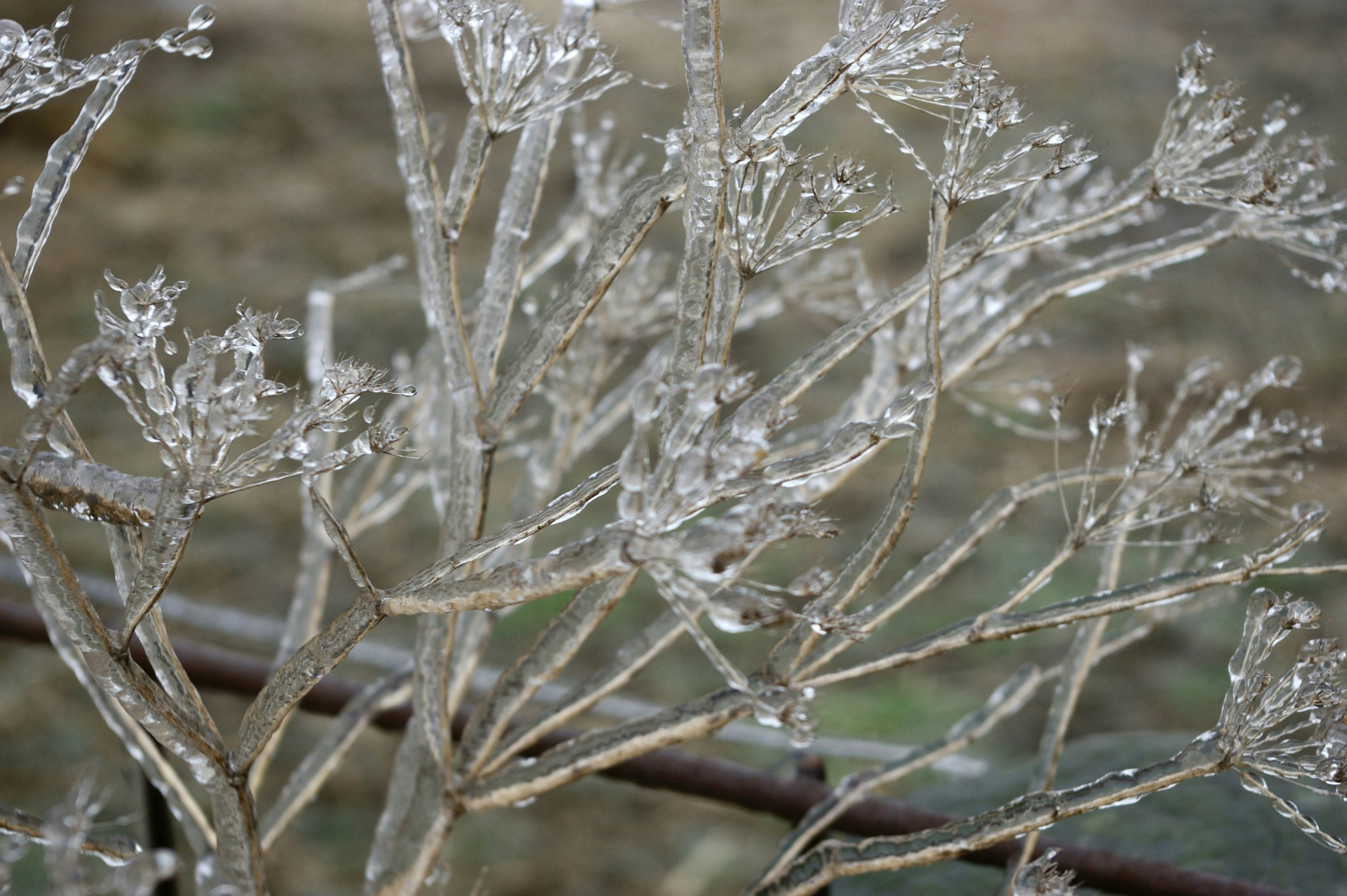 Photo by cstembridge