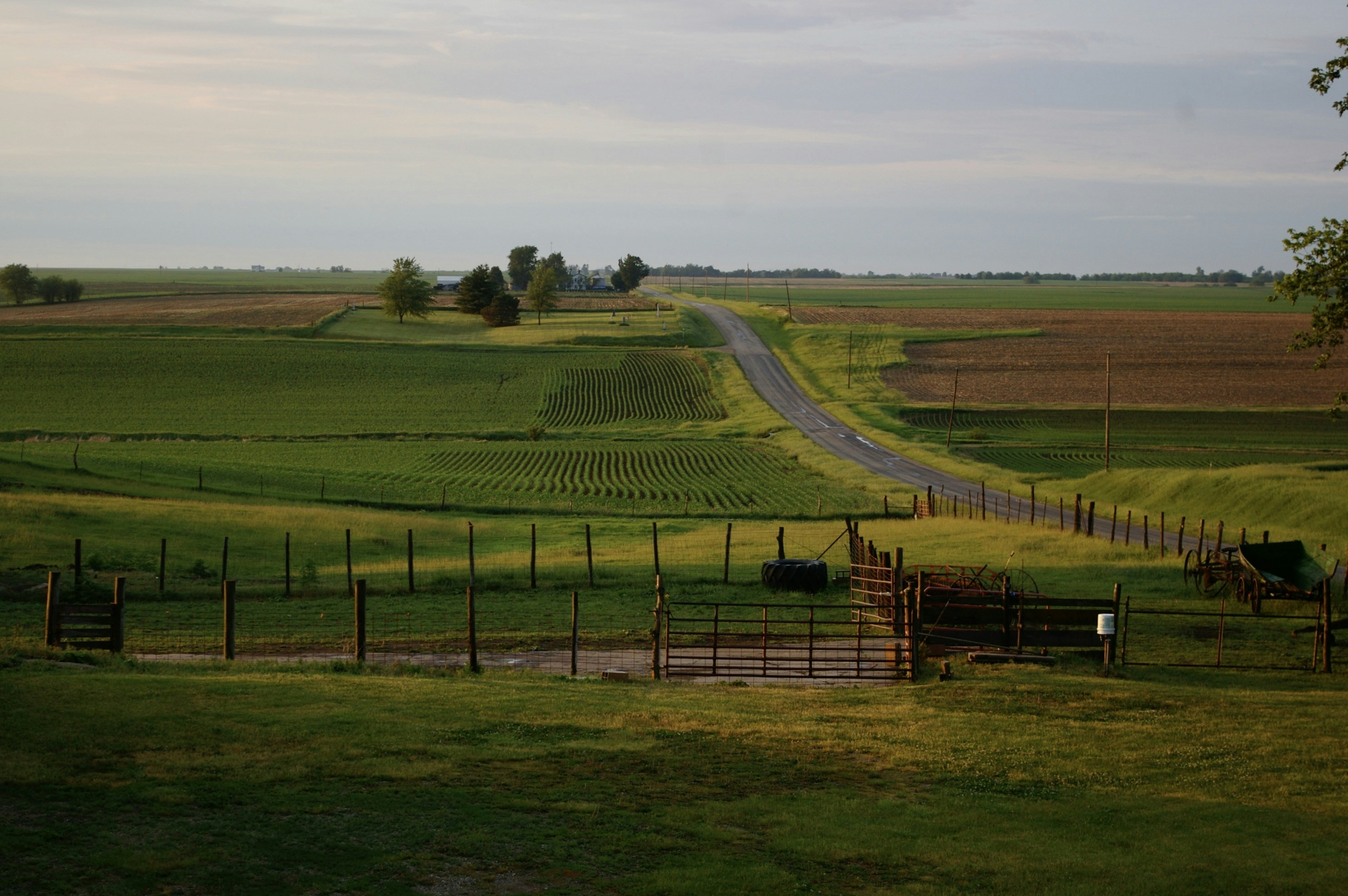 Photo by cstembridge