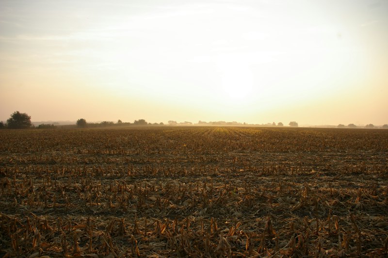 Registered Plot 70x100 at Amasaman — photo 3 of 3