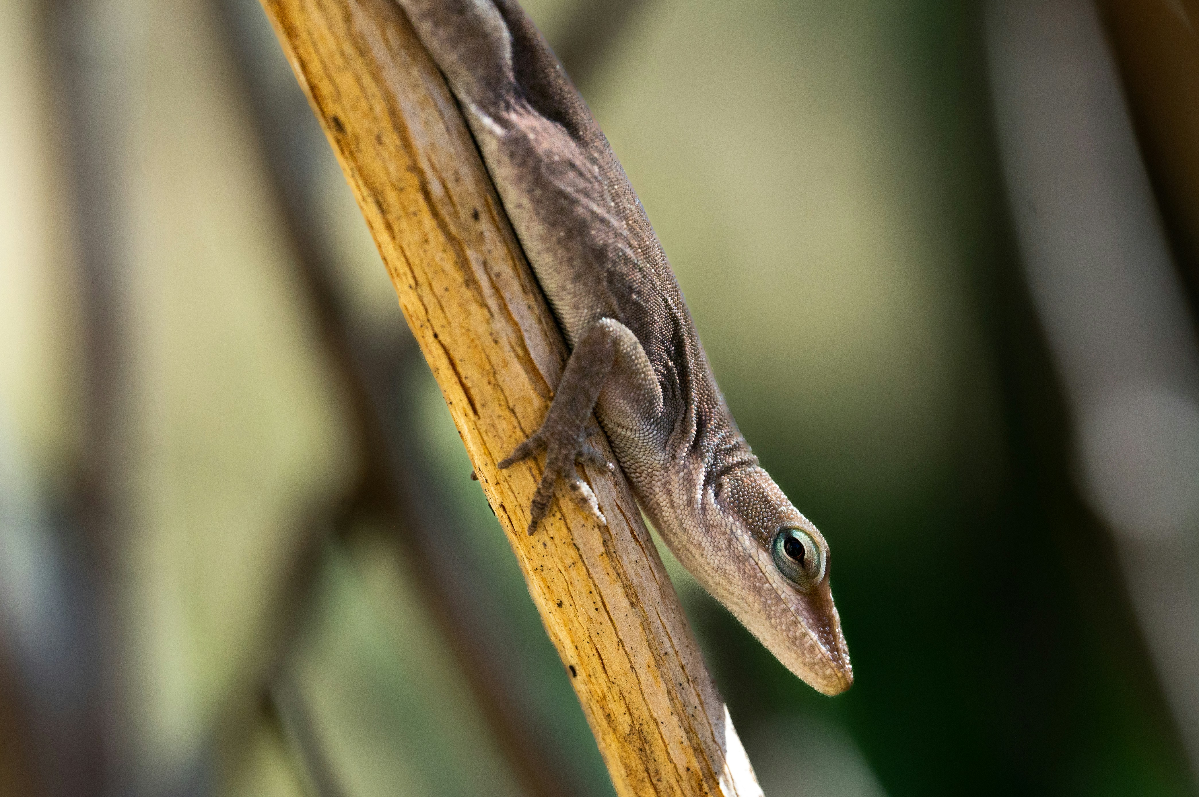 Photo by bigheartmarketing