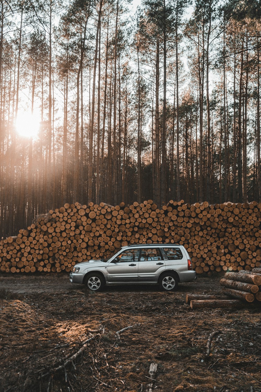 a car parked in front of a pile of logs