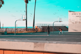 An outdoor basketball court near a beach with palm trees and the ocean in the background. Two people are playing basketball under a clear blue sky with seagulls flying overhead. The court is adjacent to a wall with 'Venice Beach' written on it.
