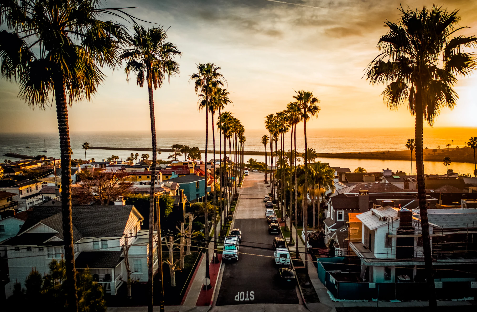 Palm-lined street by the ocean in Newport Beach