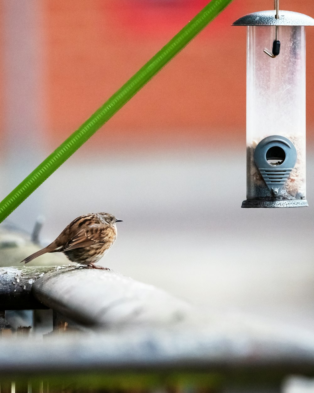 a bird sitting on a ledge next to a bird feeder