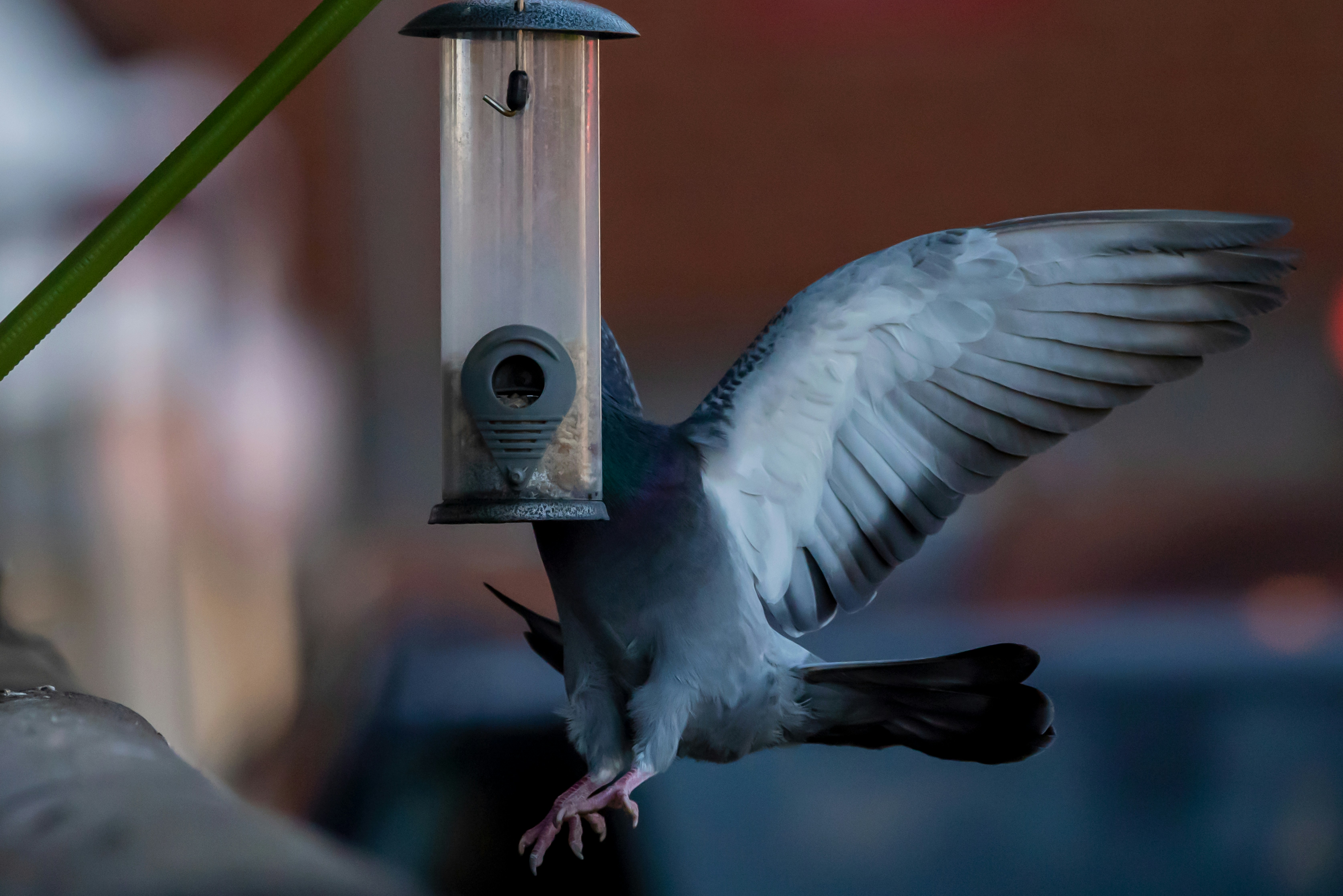 Photo by mssjagannath