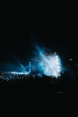 a large crowd of people at a concert