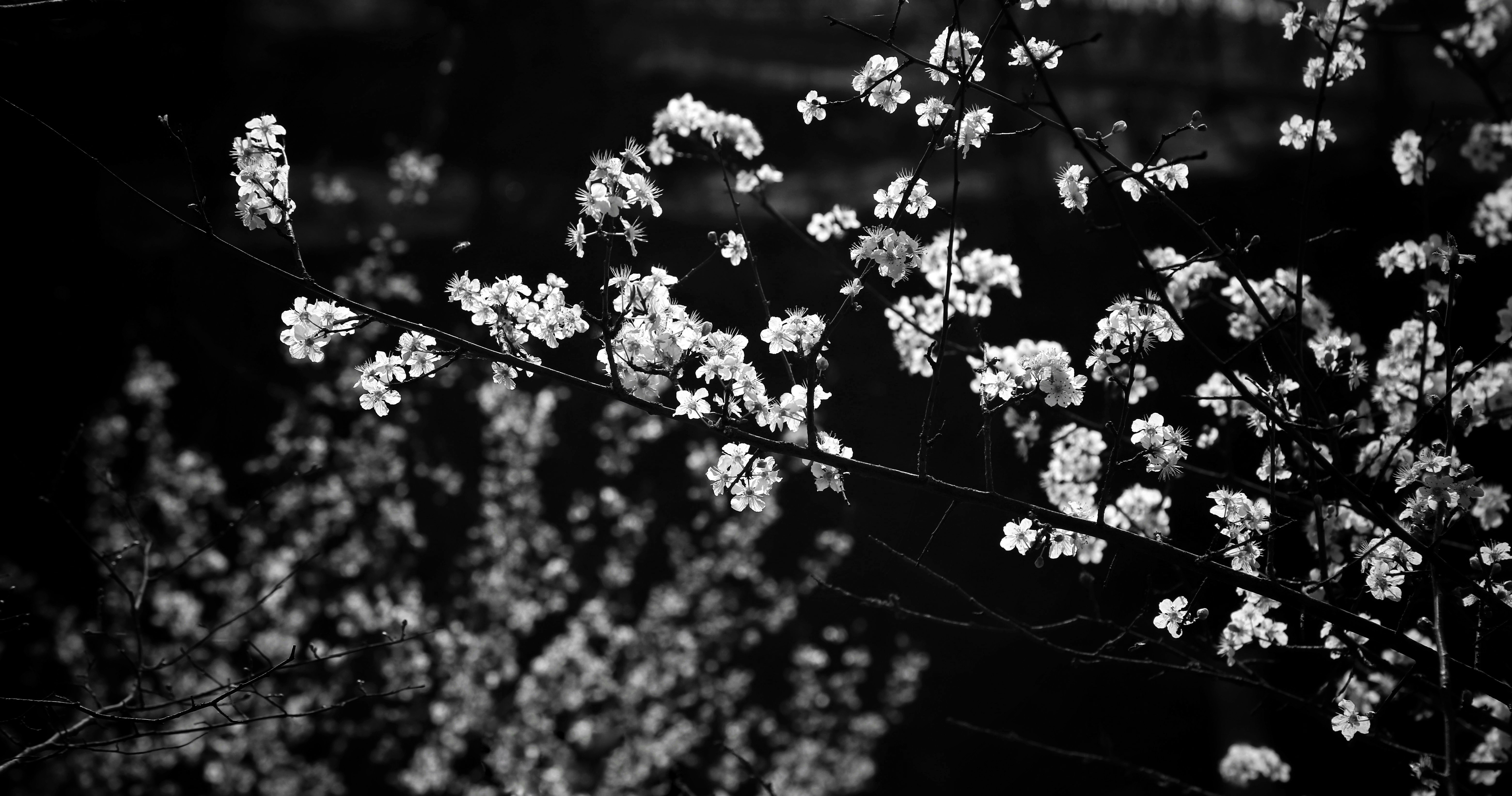 Photo by hdbernd
