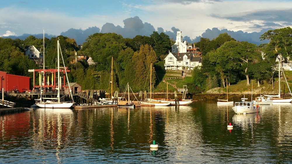 un groupe de bateaux flottant au-dessus d’un lac