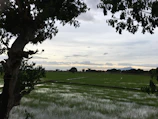 A serene landscape showing the beauty and vulnerability of Bangladesh.