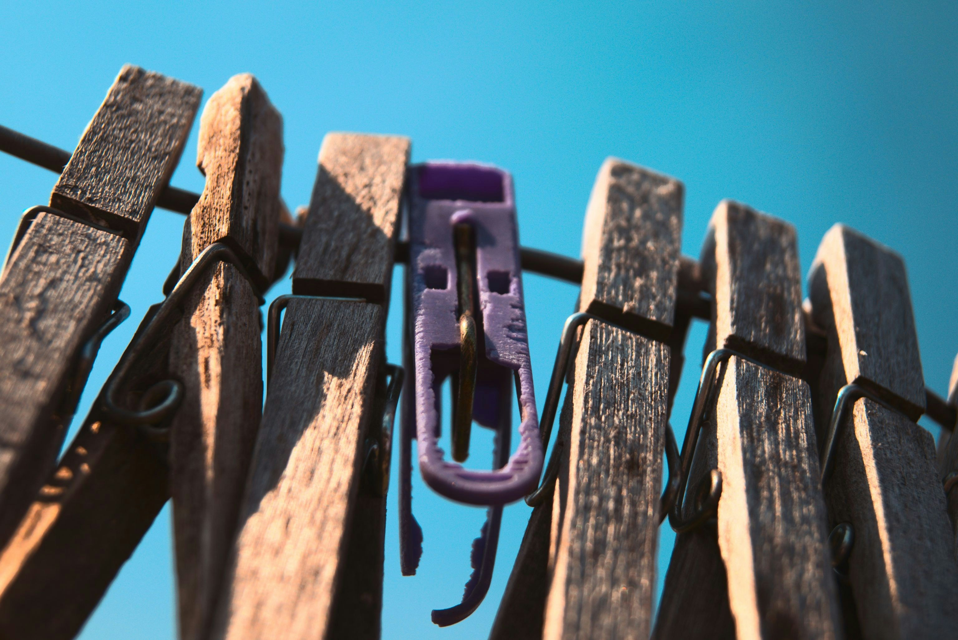a close up of a purple object on a wooden fence