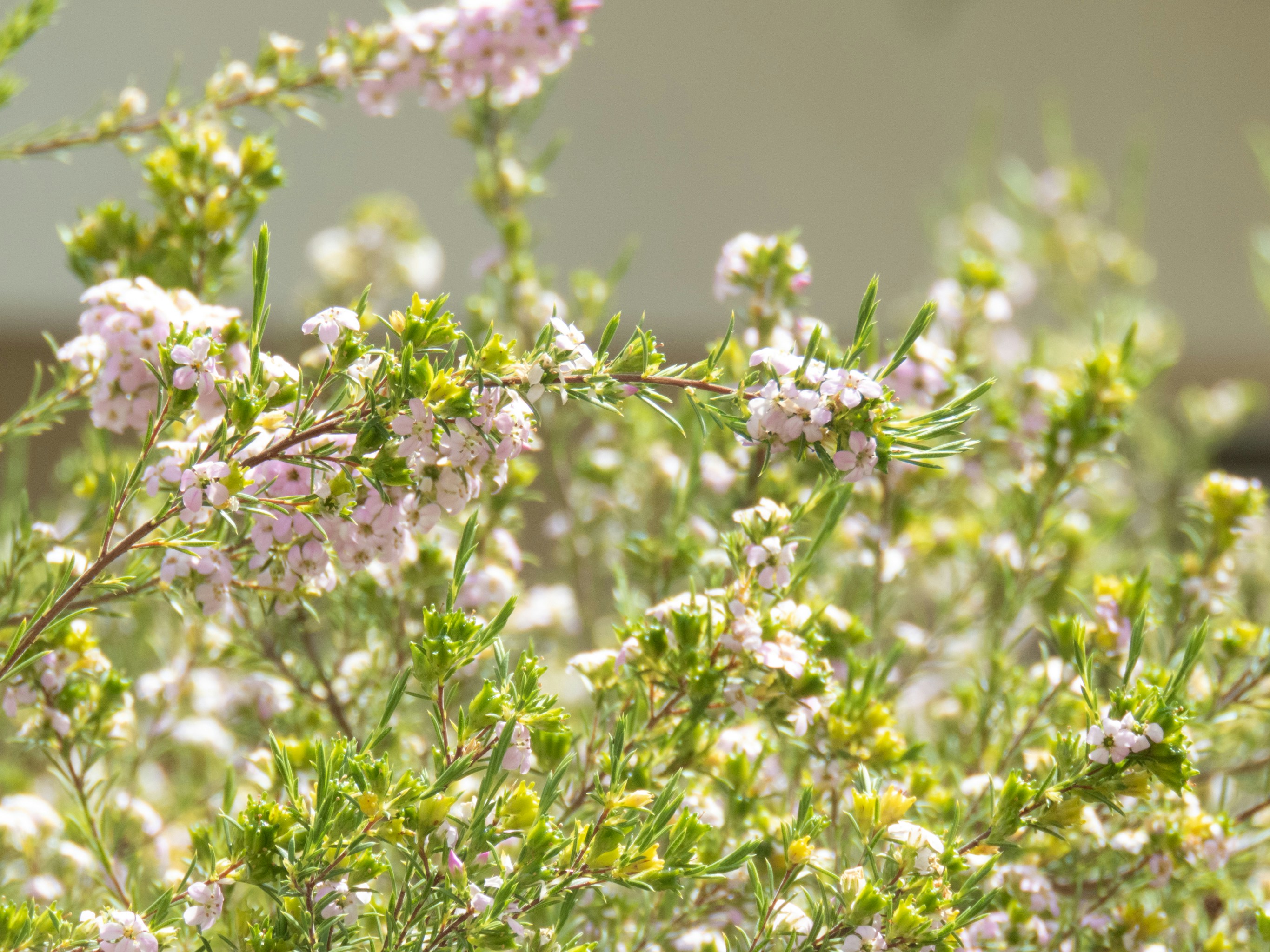 Photo by joshua_chehov