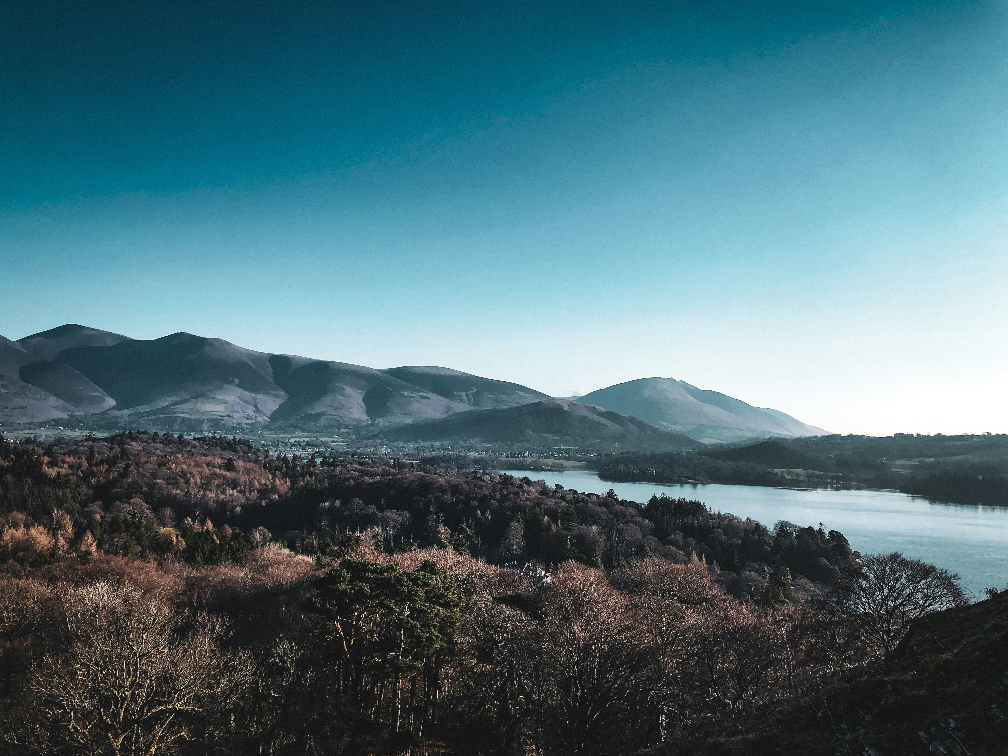 Derwent Park