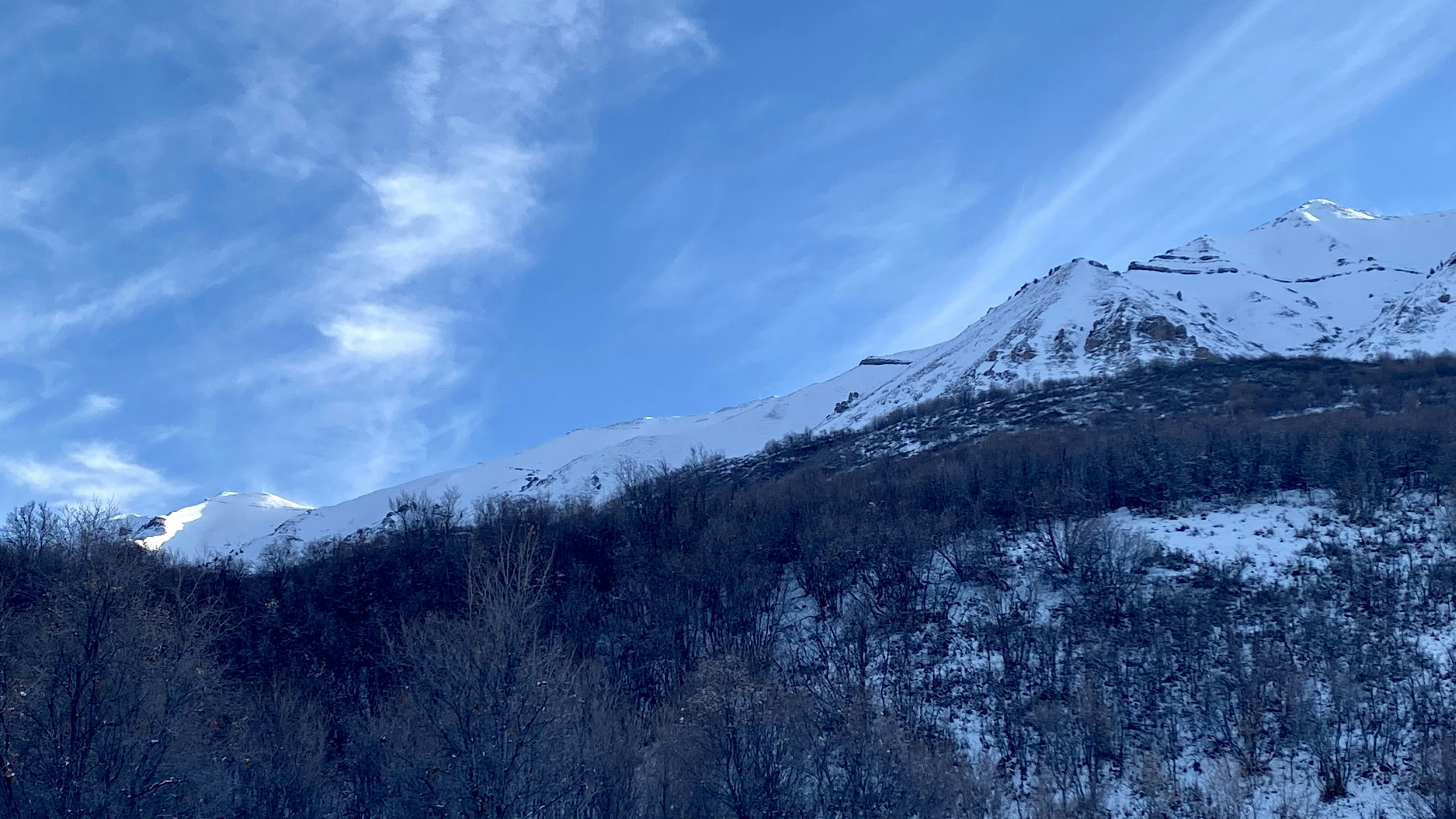 Photo by ninjab12000