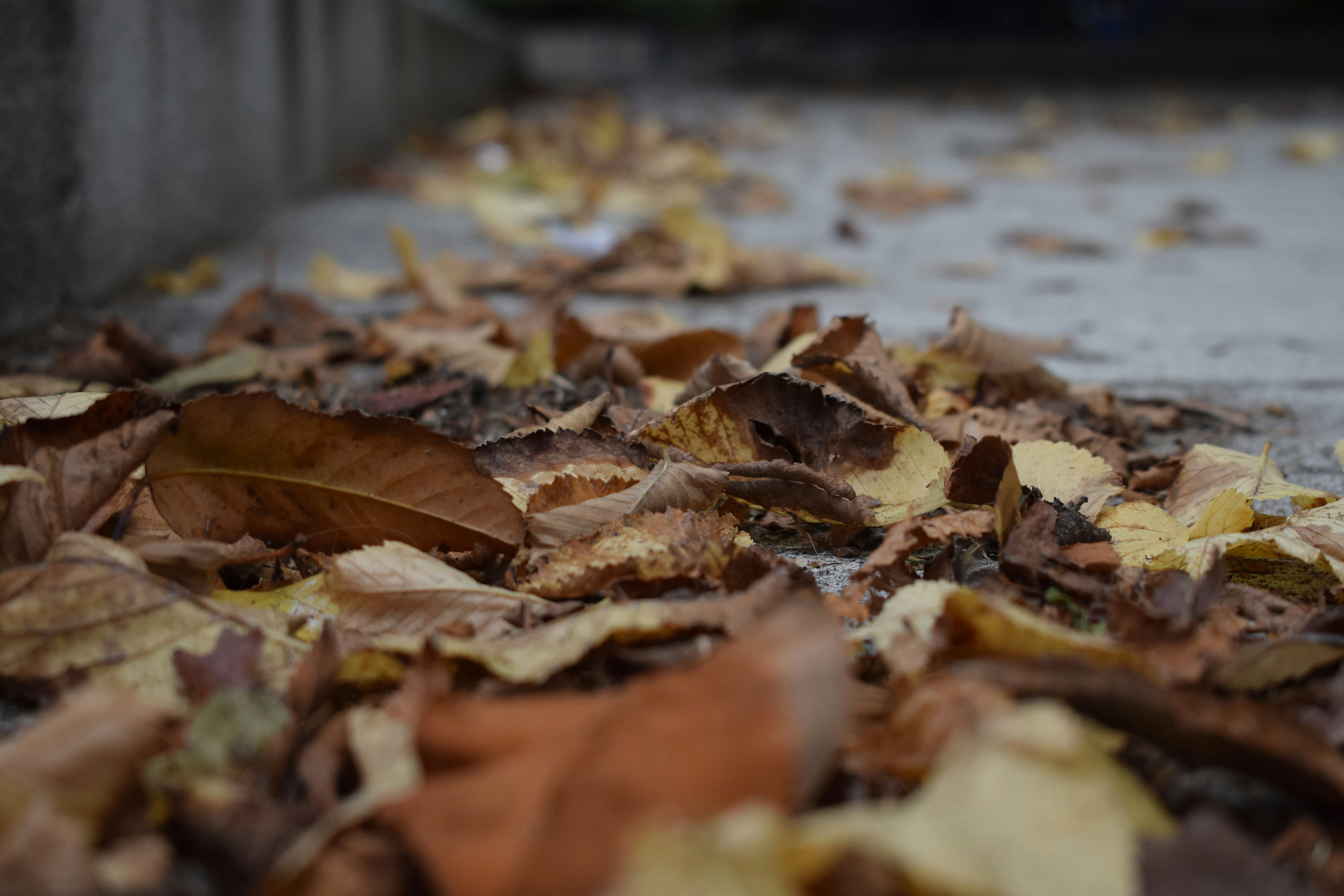 Photo by zmangels18
