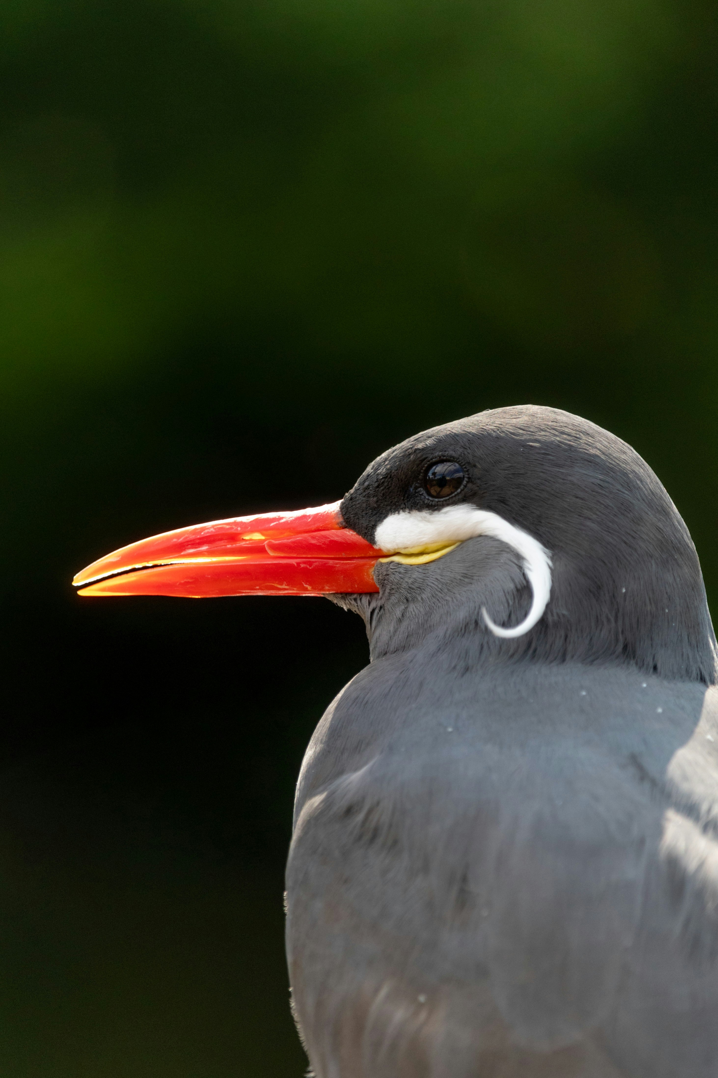 Photo by ewanphotography