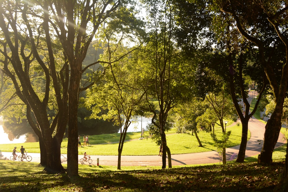 a group of people riding bikes through a park