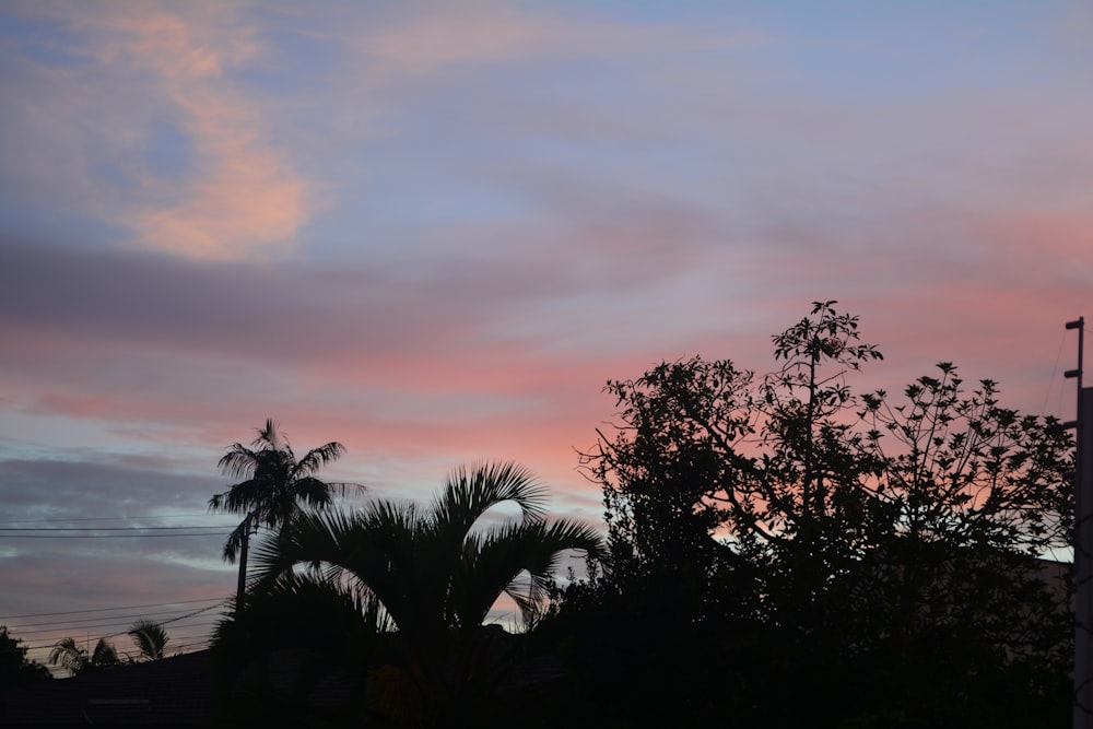 a pink and blue sky with clouds and trees