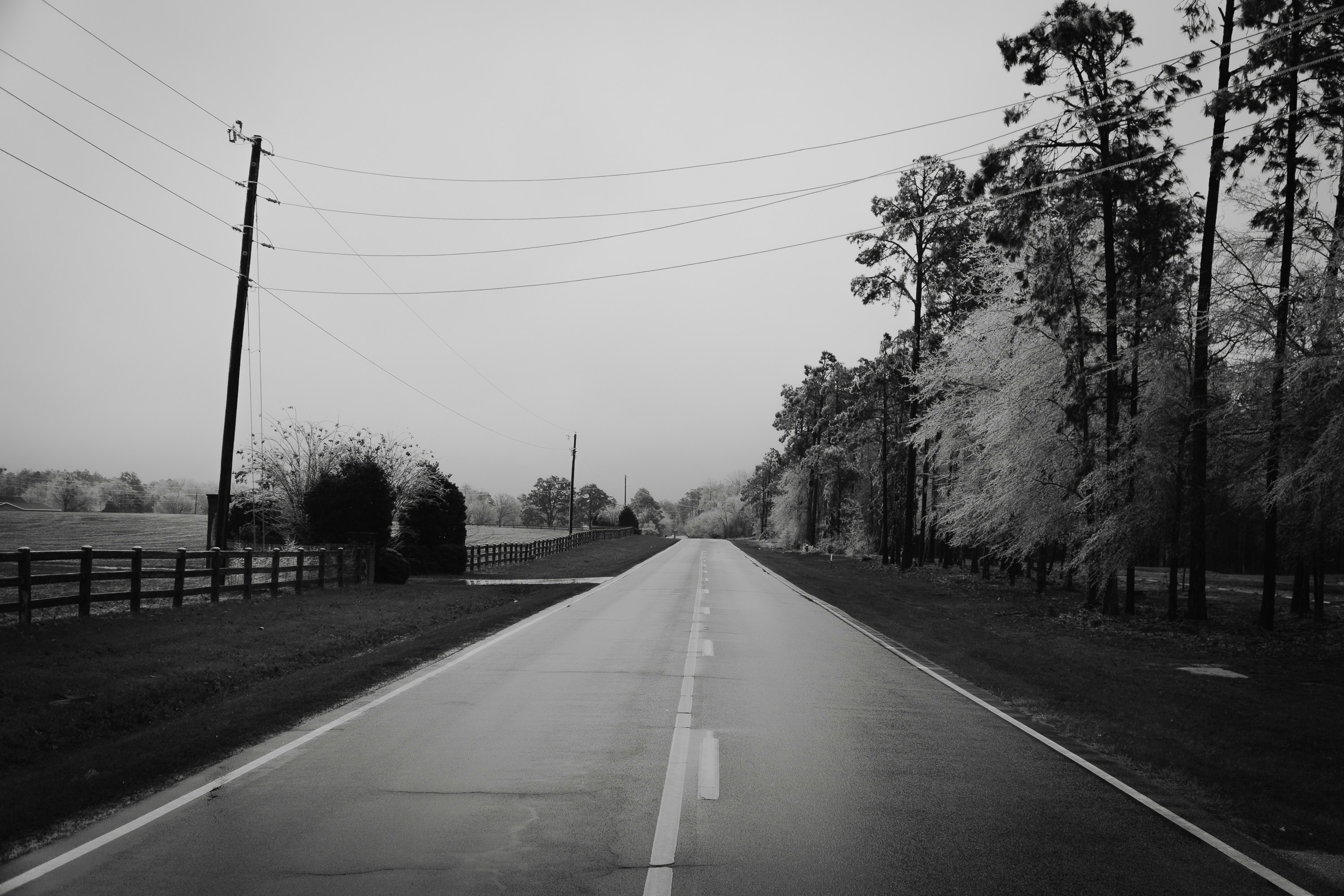 Photo by jonathon_nielsen_