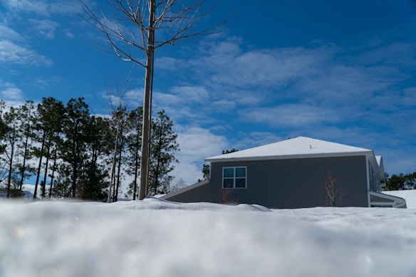 A snowy landscape with a modern house featuring a white roof and gray siding. Leafless trees stand prominently in the foreground, with lush green pine trees behind them. The sky is clear, showcasing a bright blue color with scattered white clouds.
