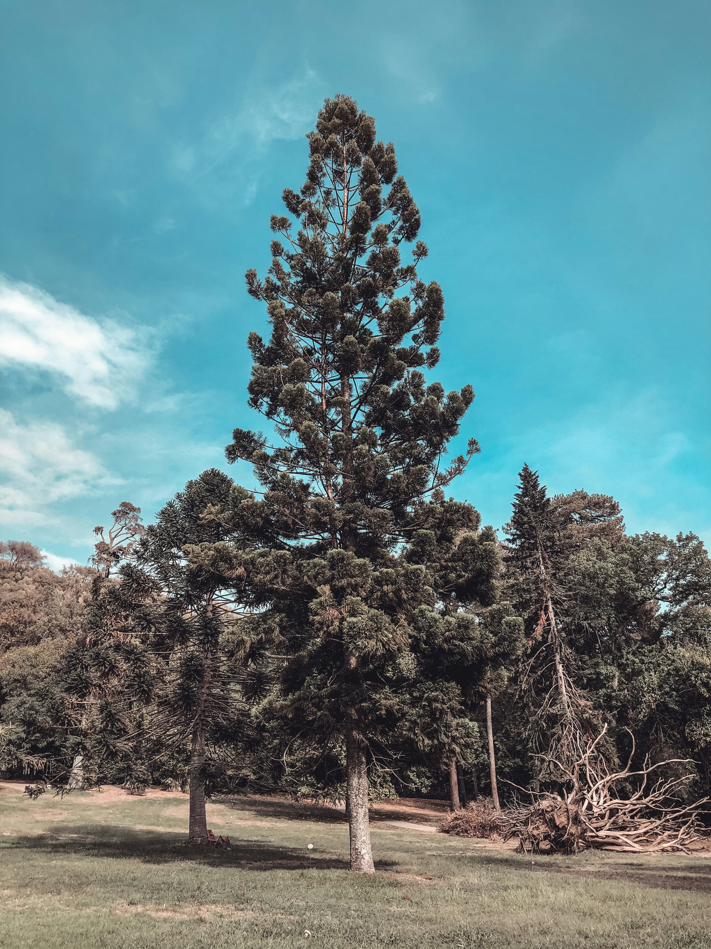 Photo by cropviewfinder