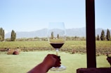 A person holds a glass of red wine overlooking a vineyard with rows of grapevines. In the background, there are tall green trees and distant mountains under a clear blue sky. The scene is framed by a wooden post on the right, suggesting an outdoor terrace or patio.