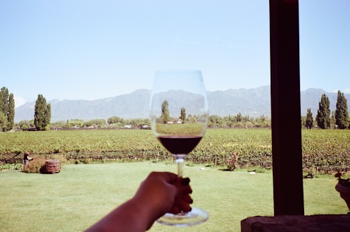 A person holds a glass of red wine overlooking a vineyard with rows of grapevines. In the background, there are tall green trees and distant mountains under a clear blue sky. The scene is framed by a wooden post on the right, suggesting an outdoor terrace or patio.