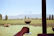 Close-up of a wine glass filled with deep red wine, held in front of sunlit vineyard rows.