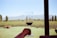 A person holds a glass of red wine overlooking a vineyard with rows of grapevines. In the background, there are tall green trees and distant mountains under a clear blue sky. The scene is framed by a wooden post on the right, suggesting an outdoor terrace or patio.