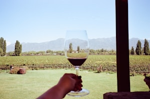 Premium Quality Wines
