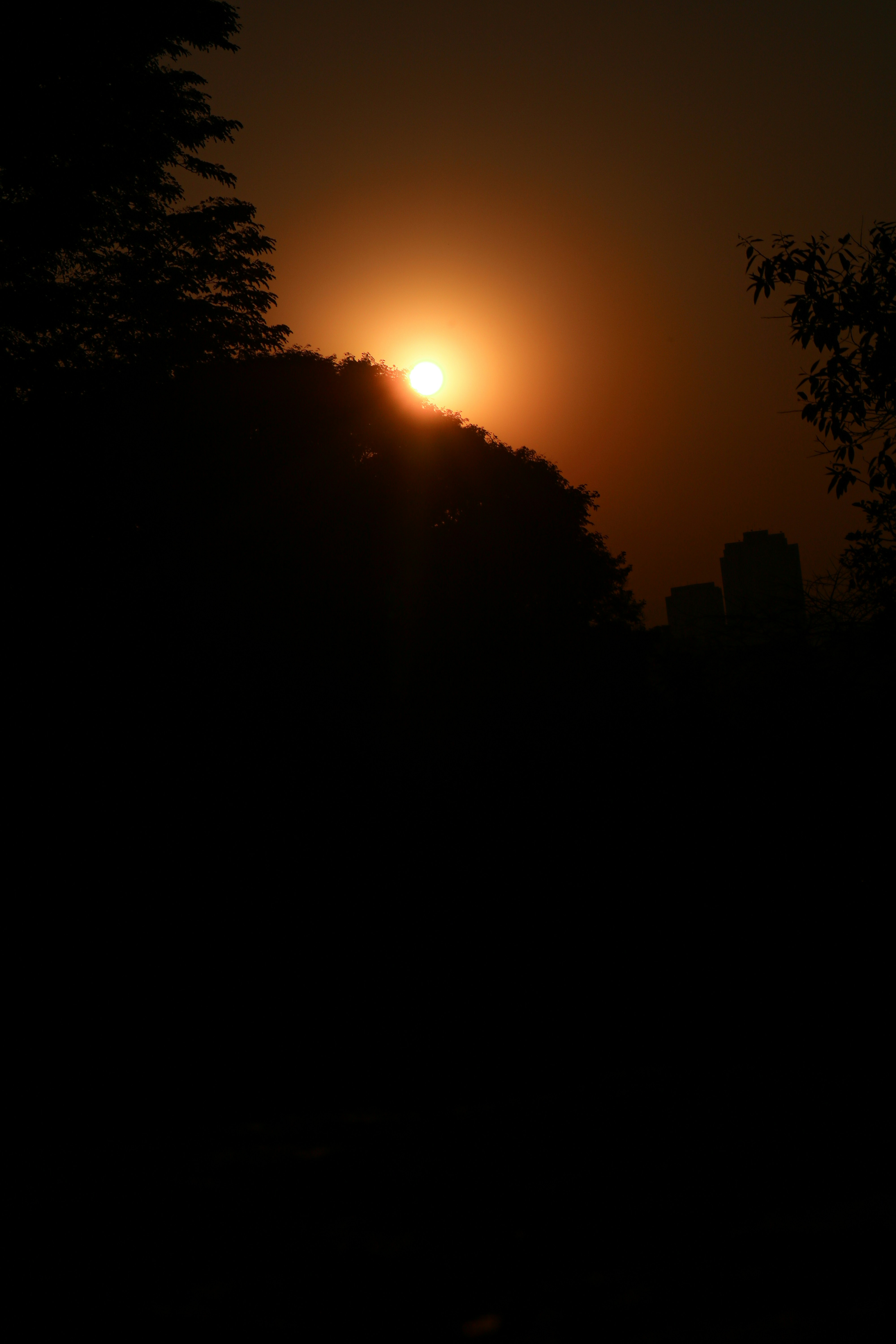 Photo by karolschonevald_