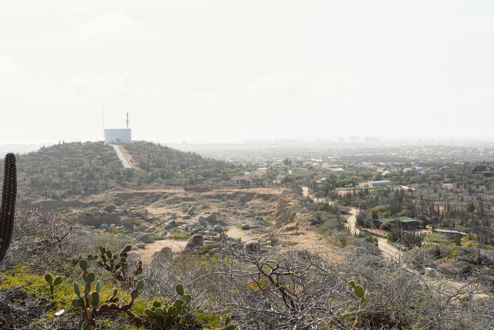 a view of a desert with a hill in the background