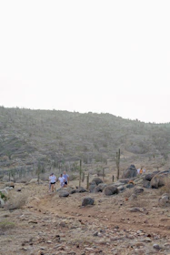 A group of colleagues hiking together through a sunlit desert trail, smiling and supporting each other.