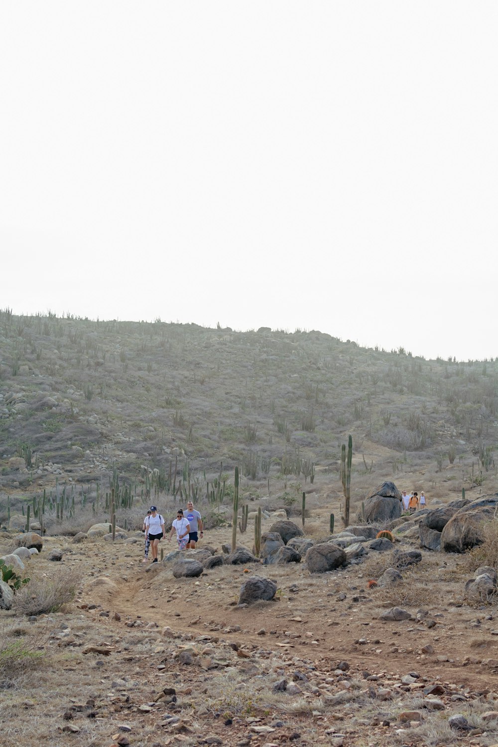 a group of people standing on top of a dry grass covered hillside