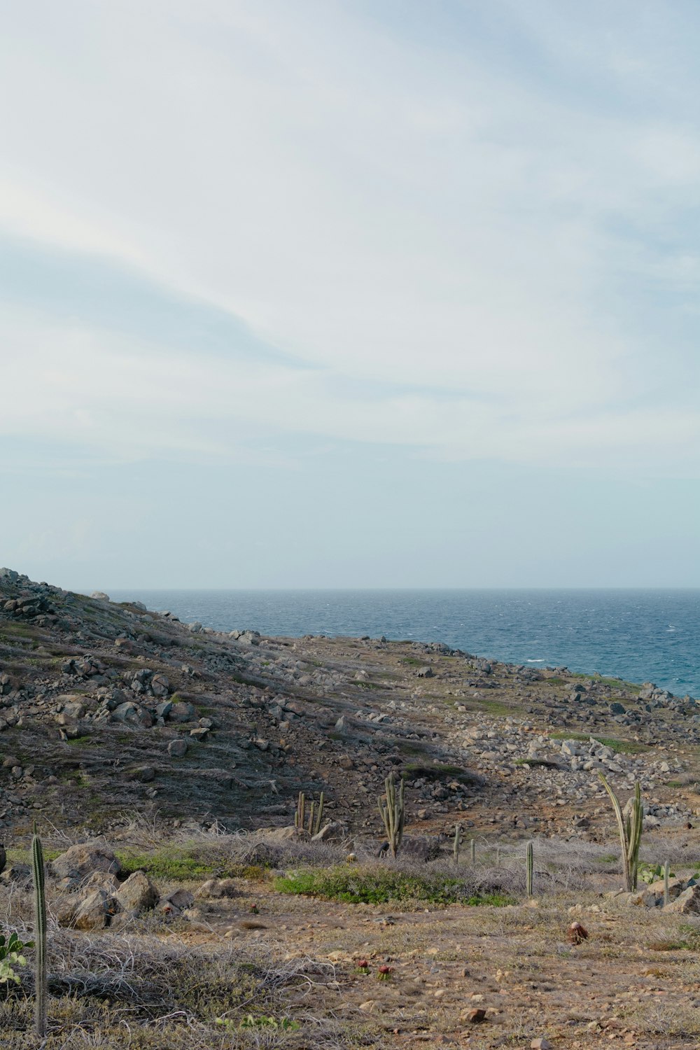 a rocky hillside with cactus plants and a body of water in the background