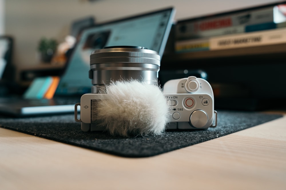 a camera and a fuzzy object on a table