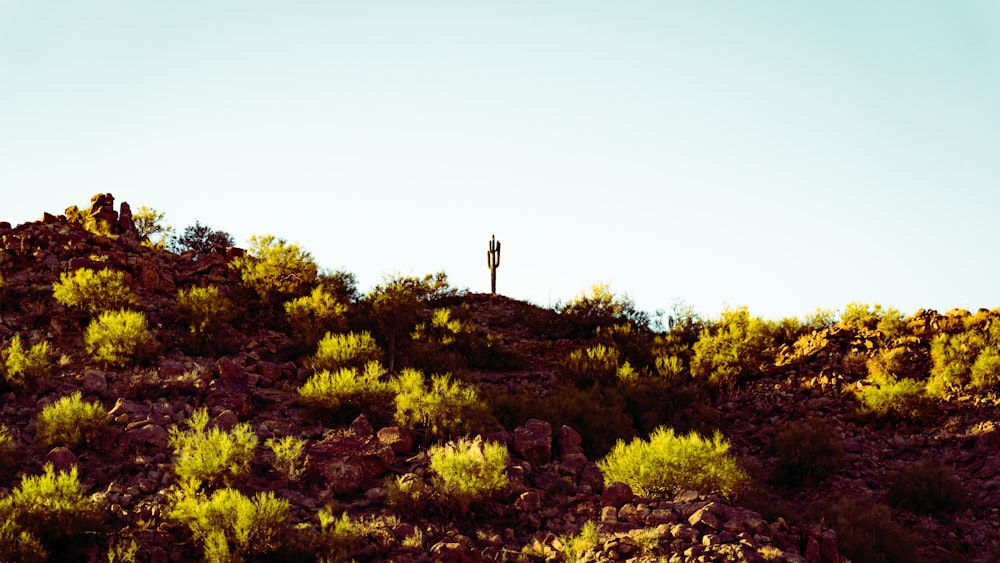 a person standing on top of a rocky hill