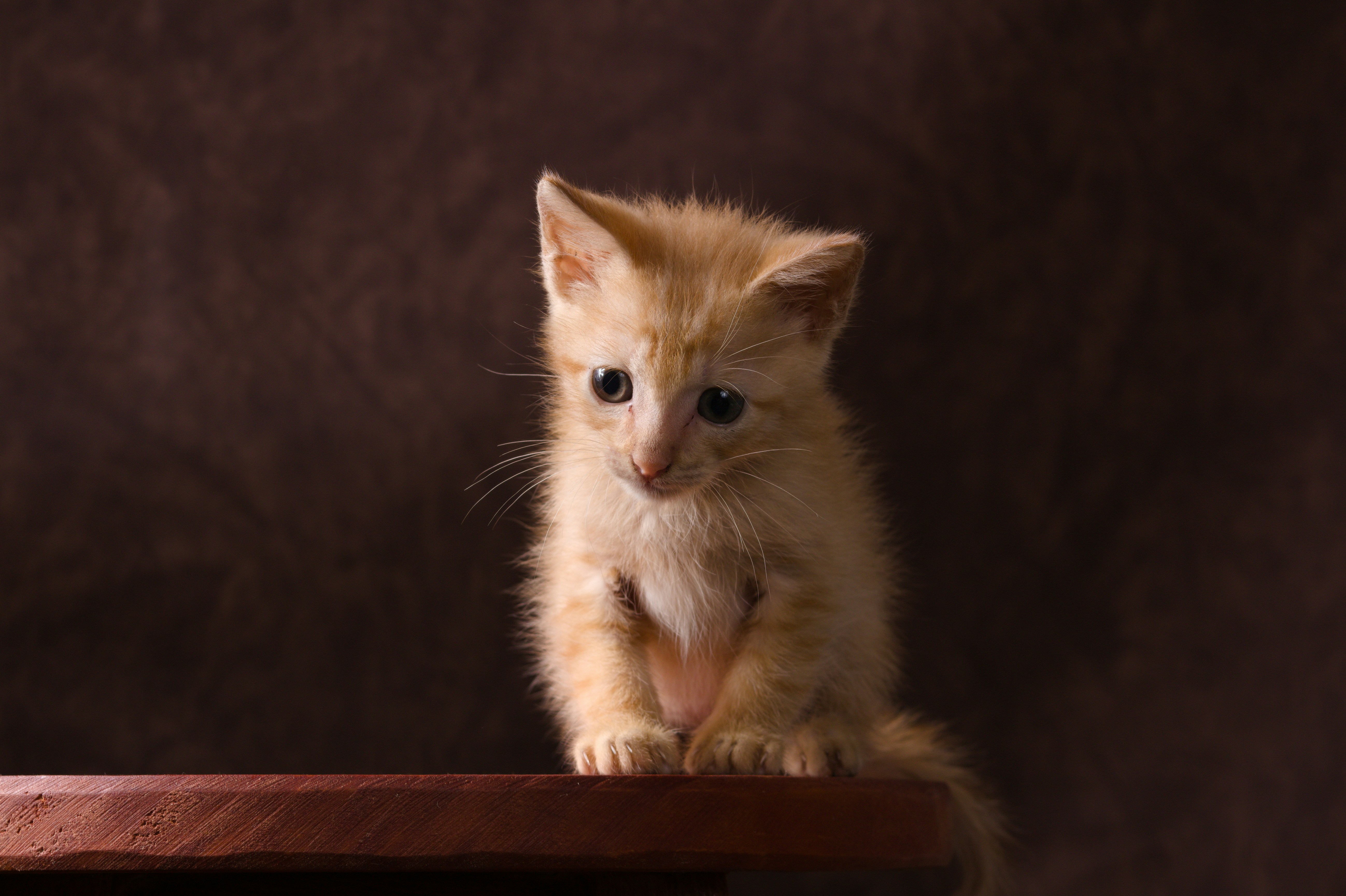 Photo by gladystonefonseca