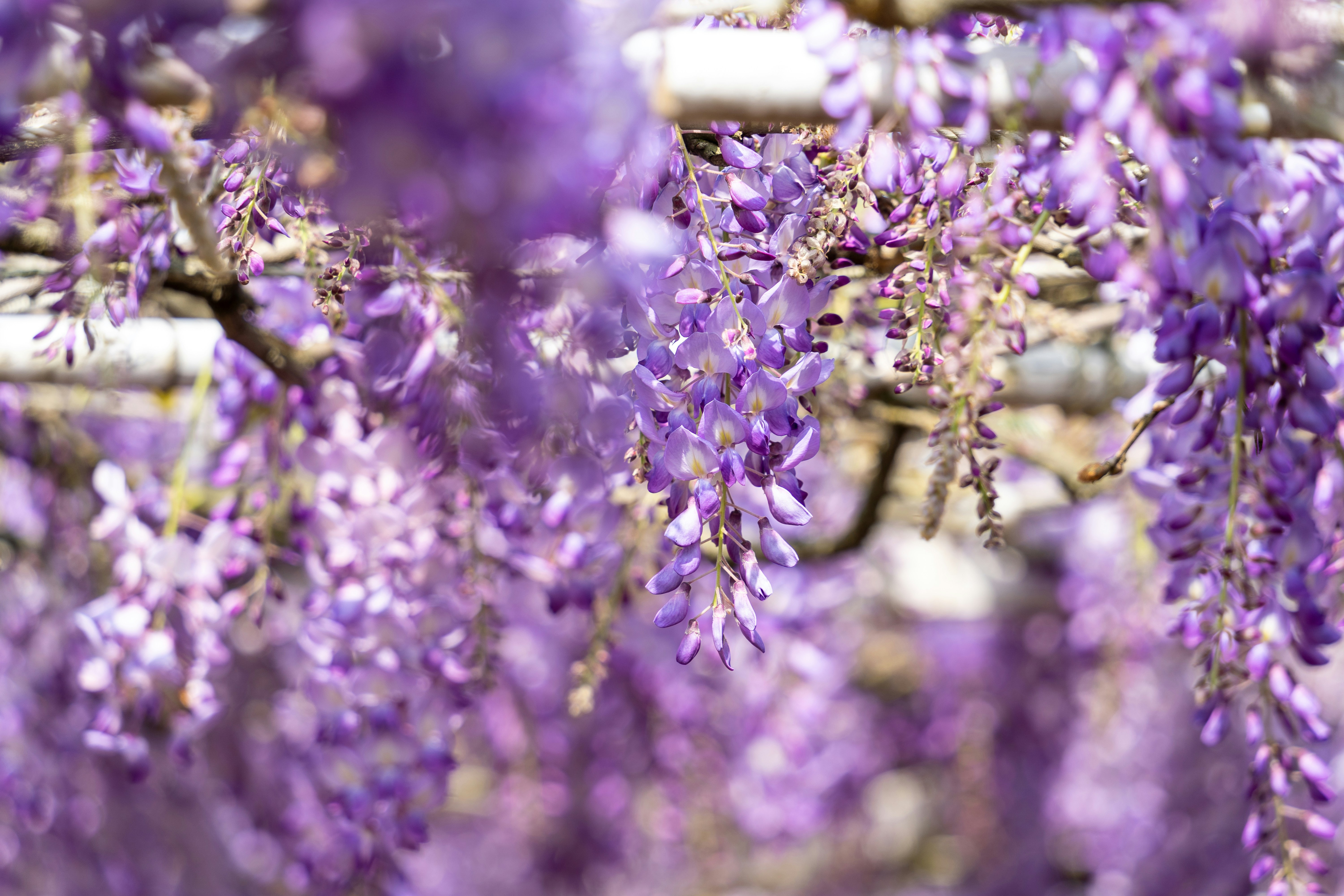 Photo by winstonchen