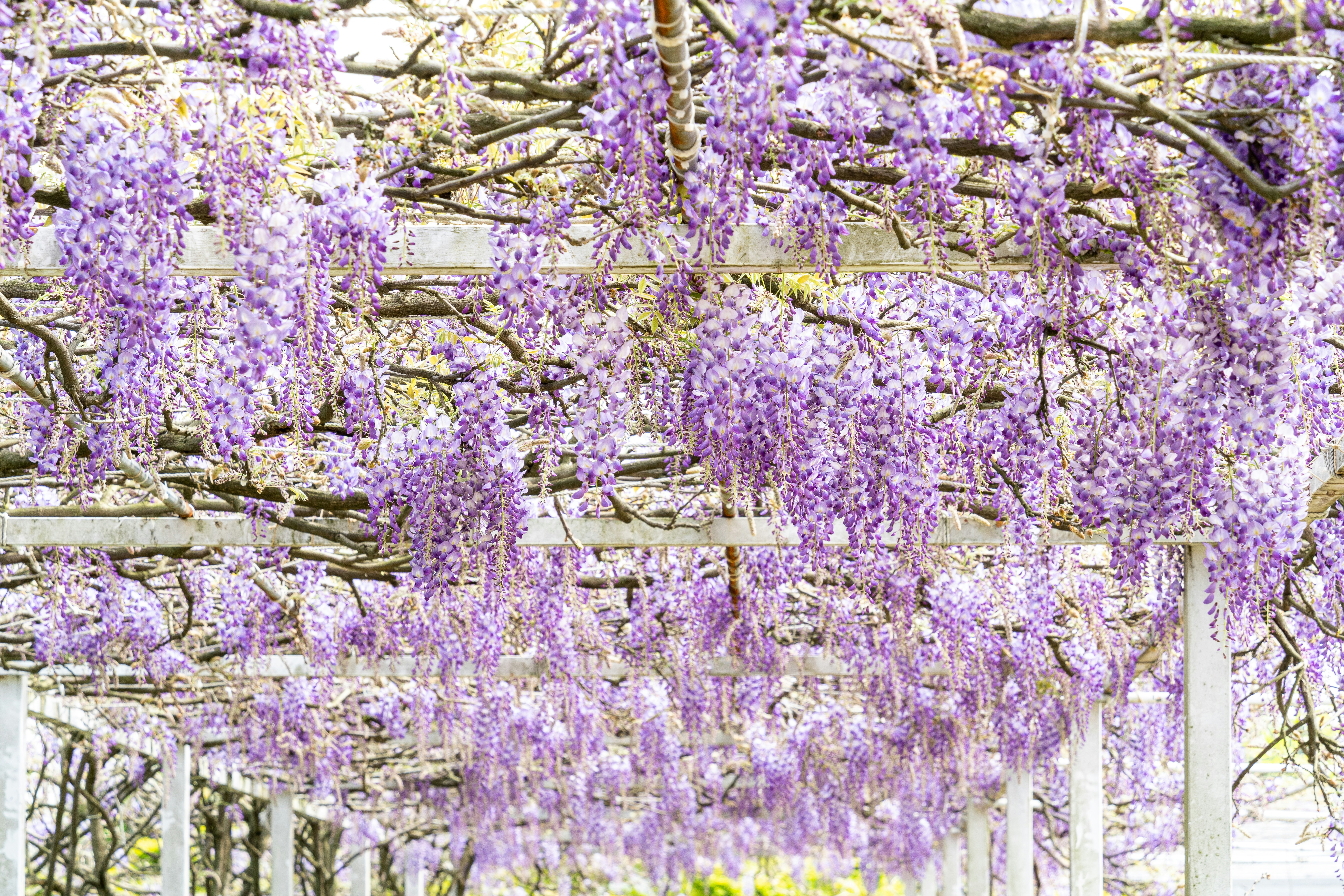 Photo by winstonchen