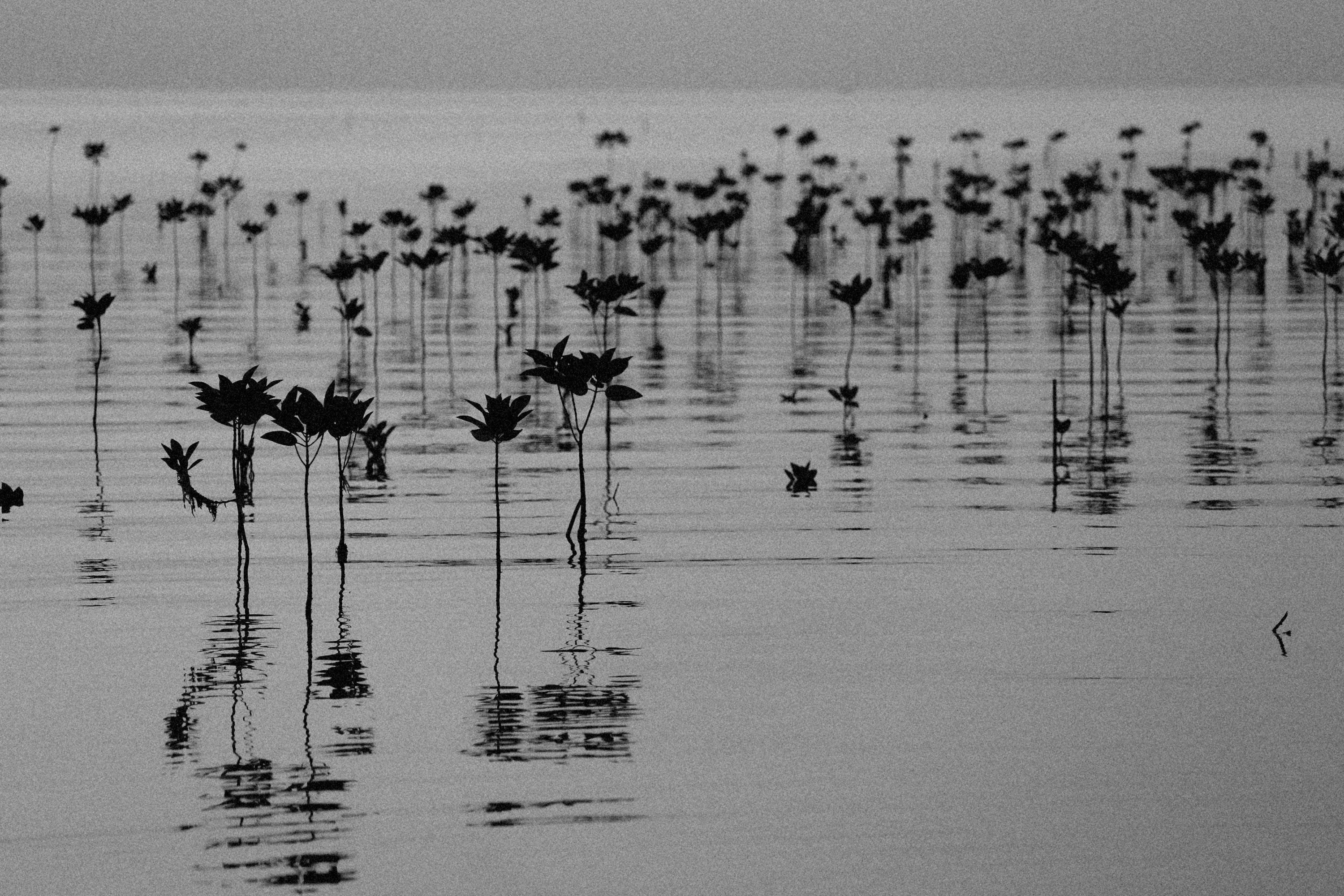 Photo by alexeydemidov