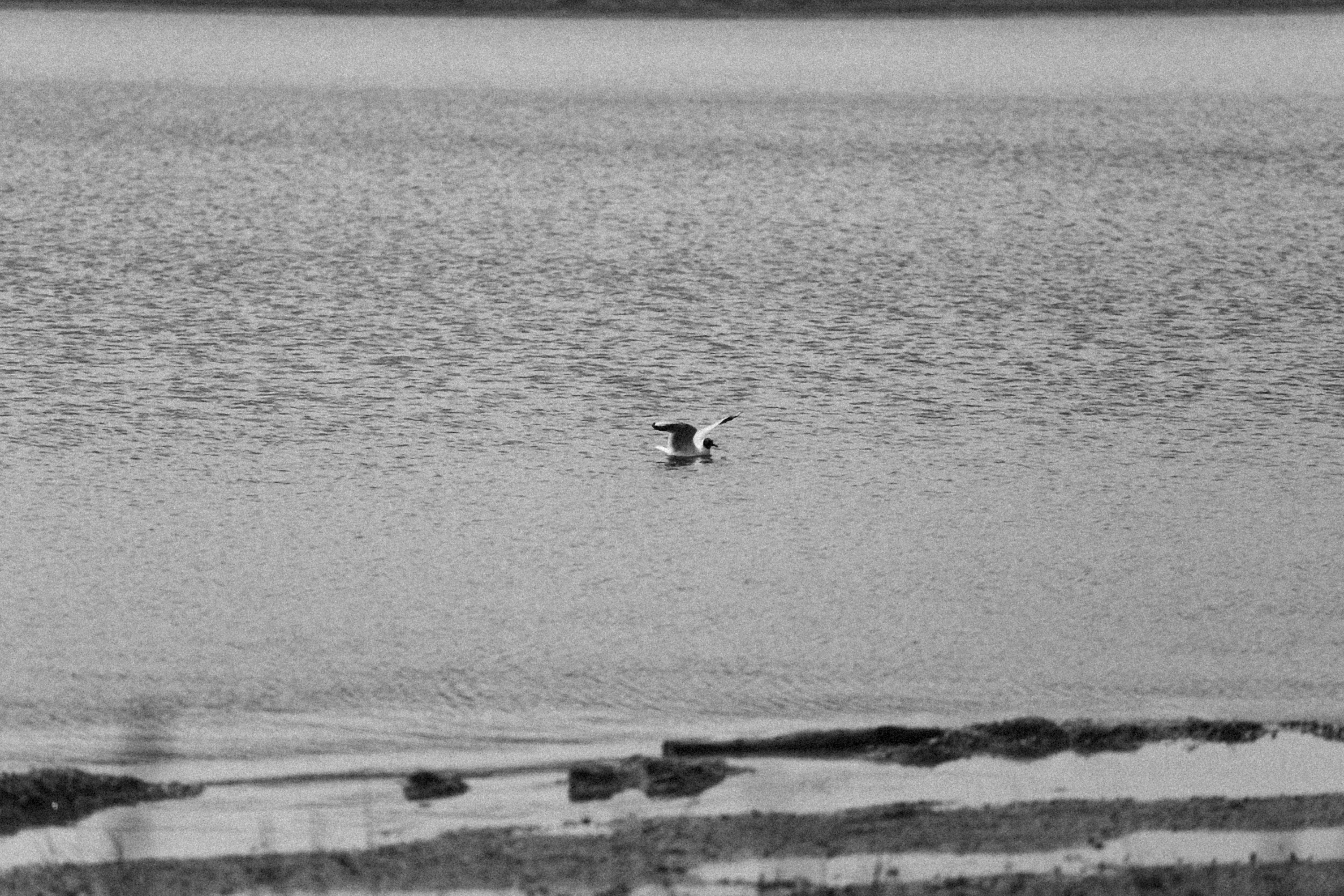 Photo by alexeydemidov