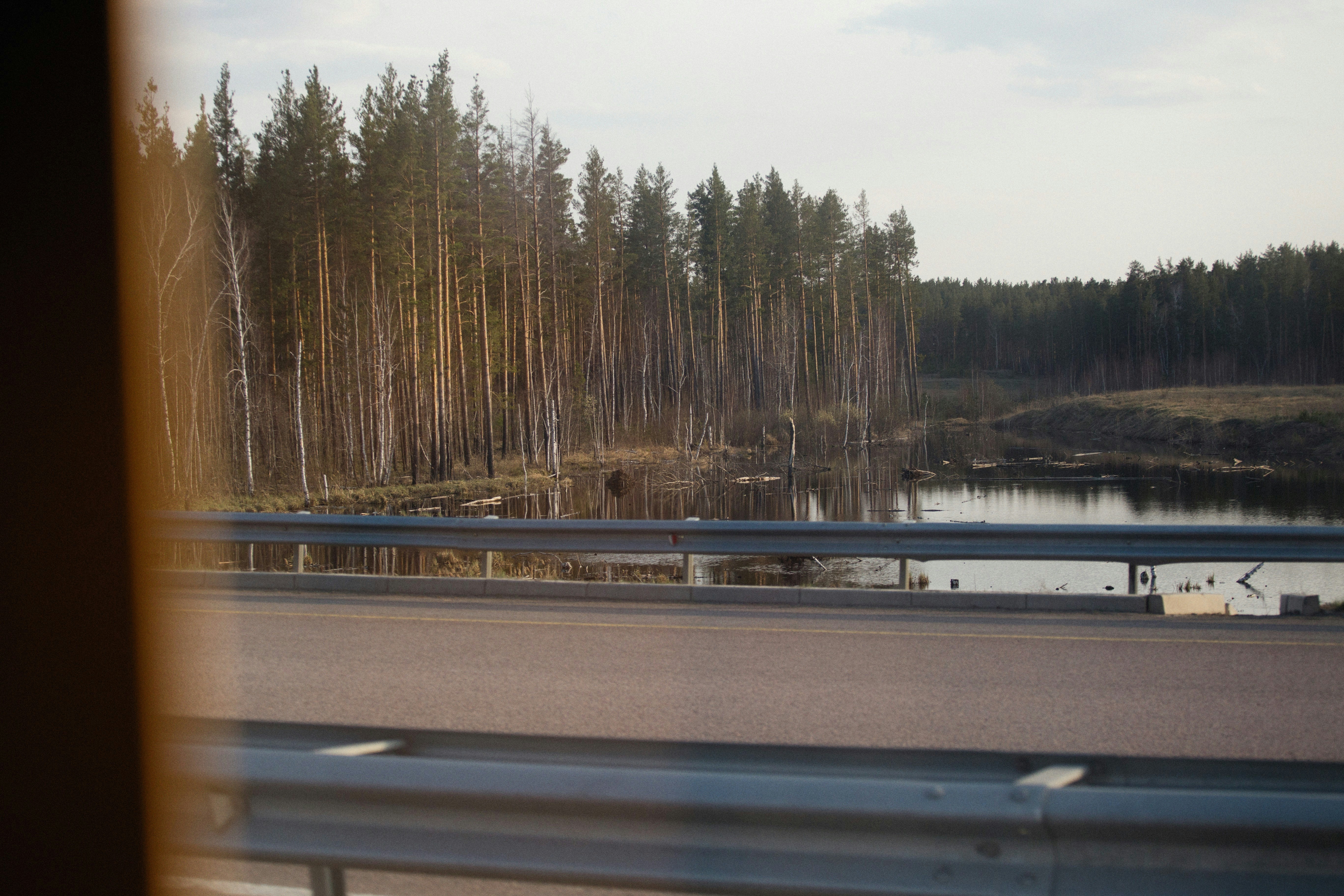 a view of a river from a train window