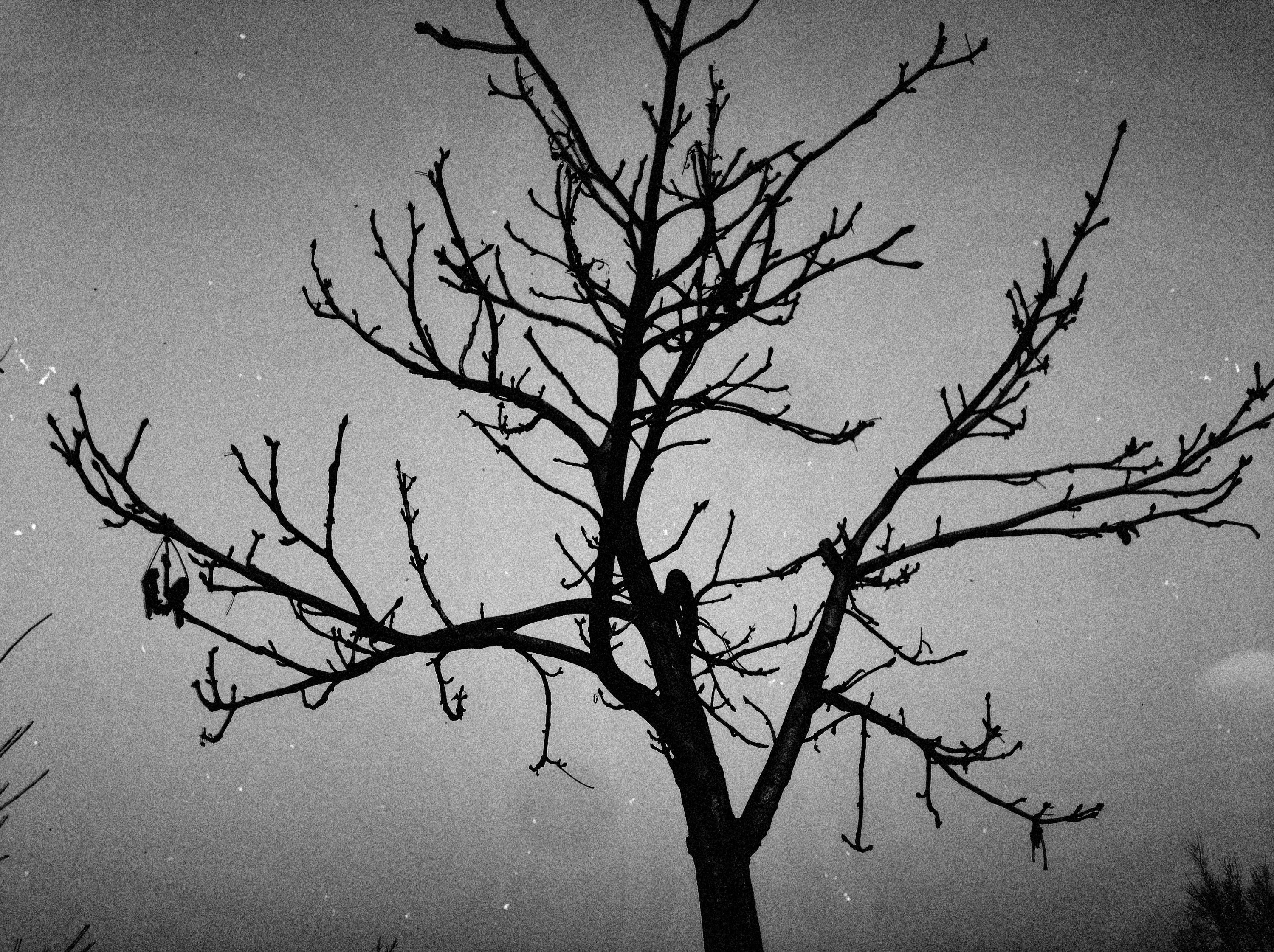 Photo by alexeydemidov