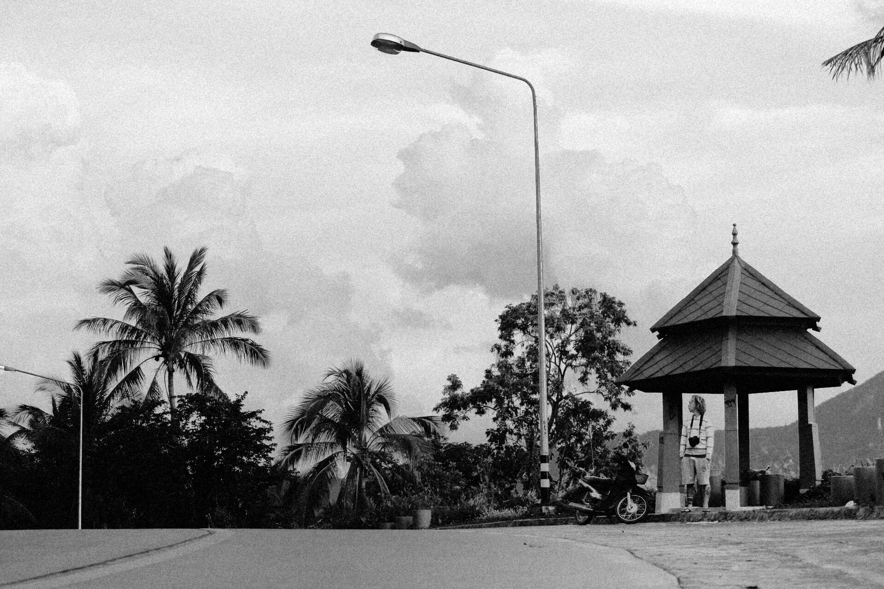 Photo by alexeydemidov