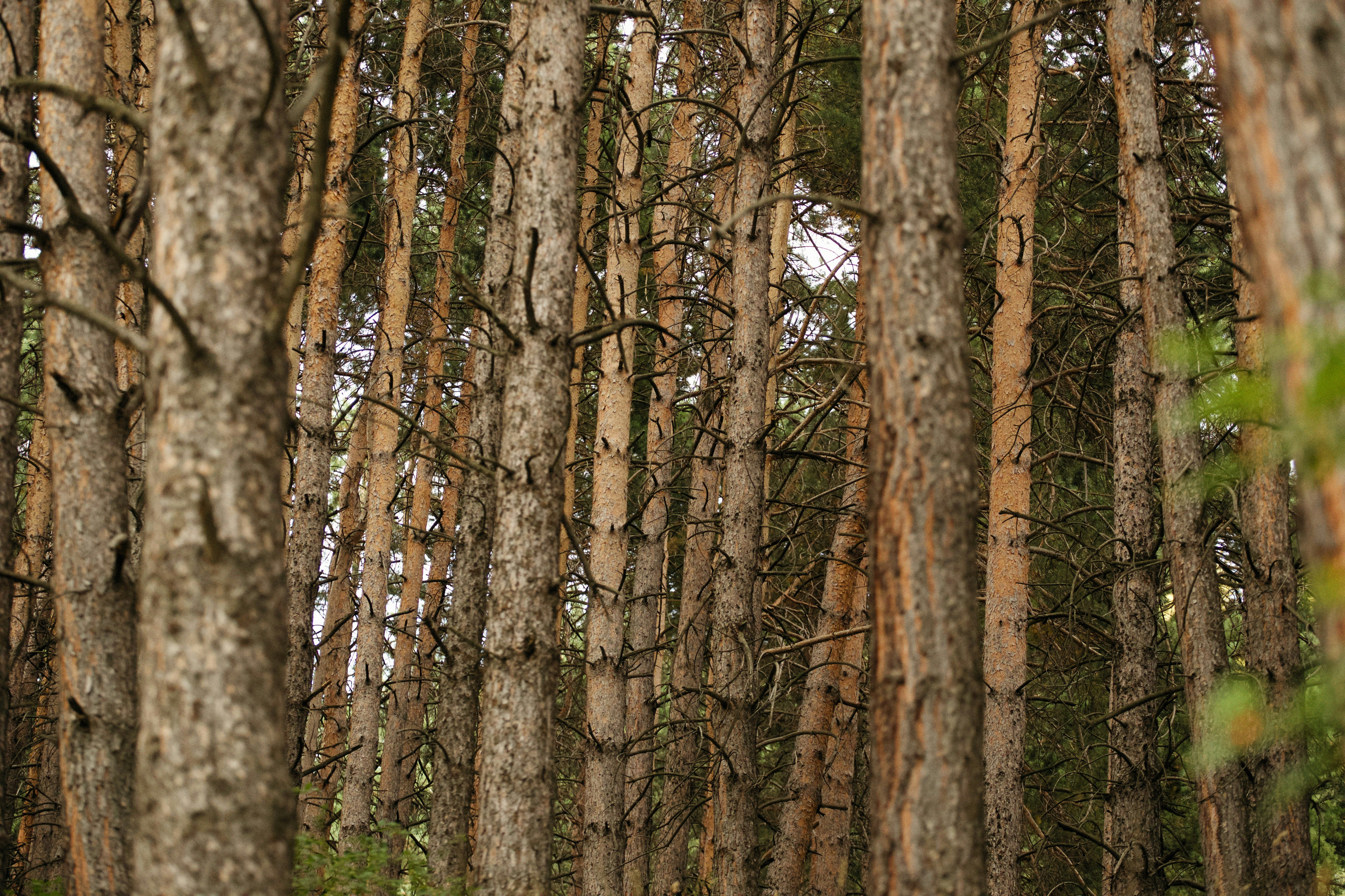 Photo by alexeydemidov