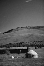 A black and white landscape features a rolling hill with sparse tree coverage. In the foreground, a traditional yurt and a few plastic chairs are visible. The scene is open and calm, with a large sky overhead.