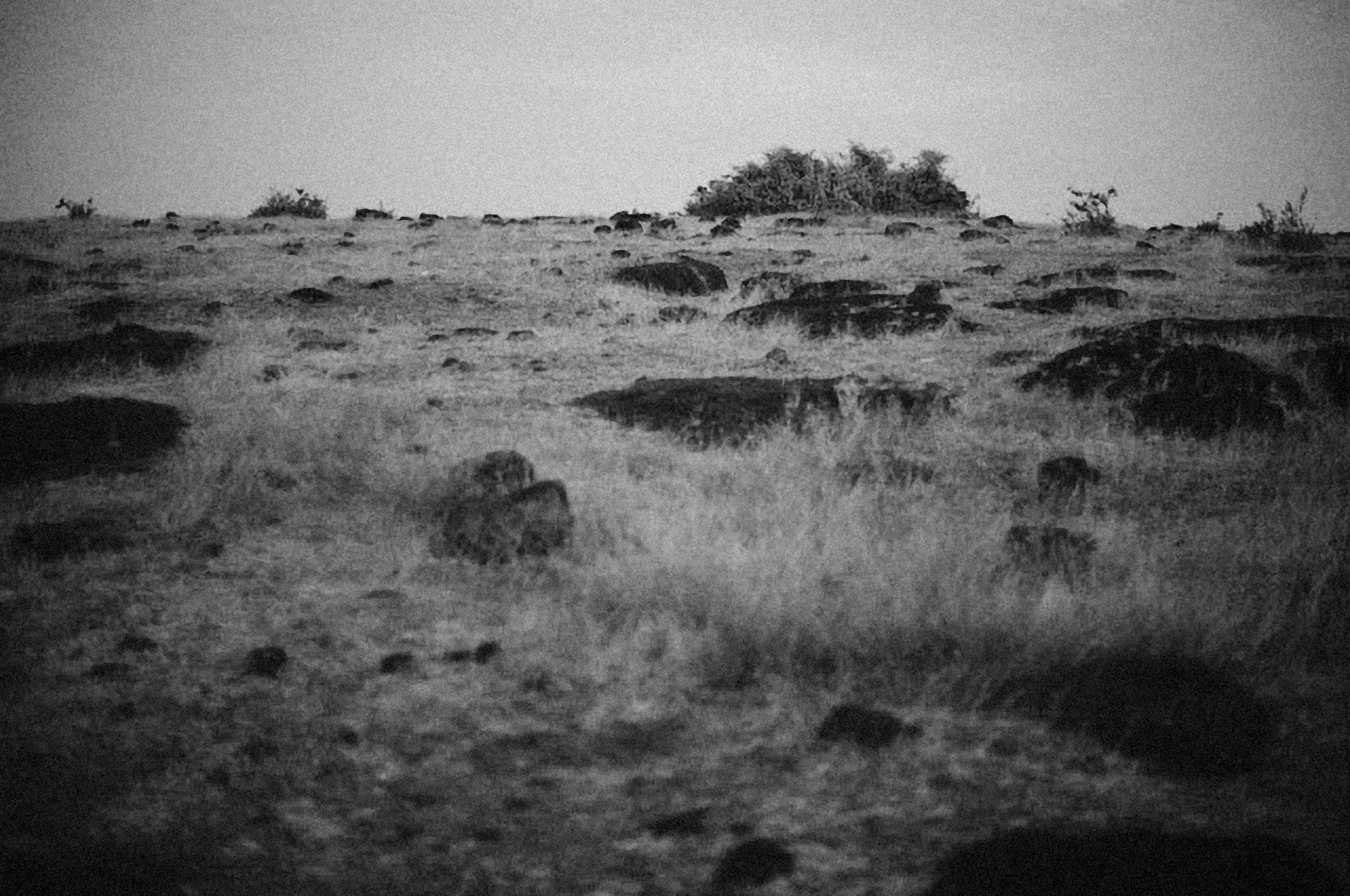 Photo by alexeydemidov