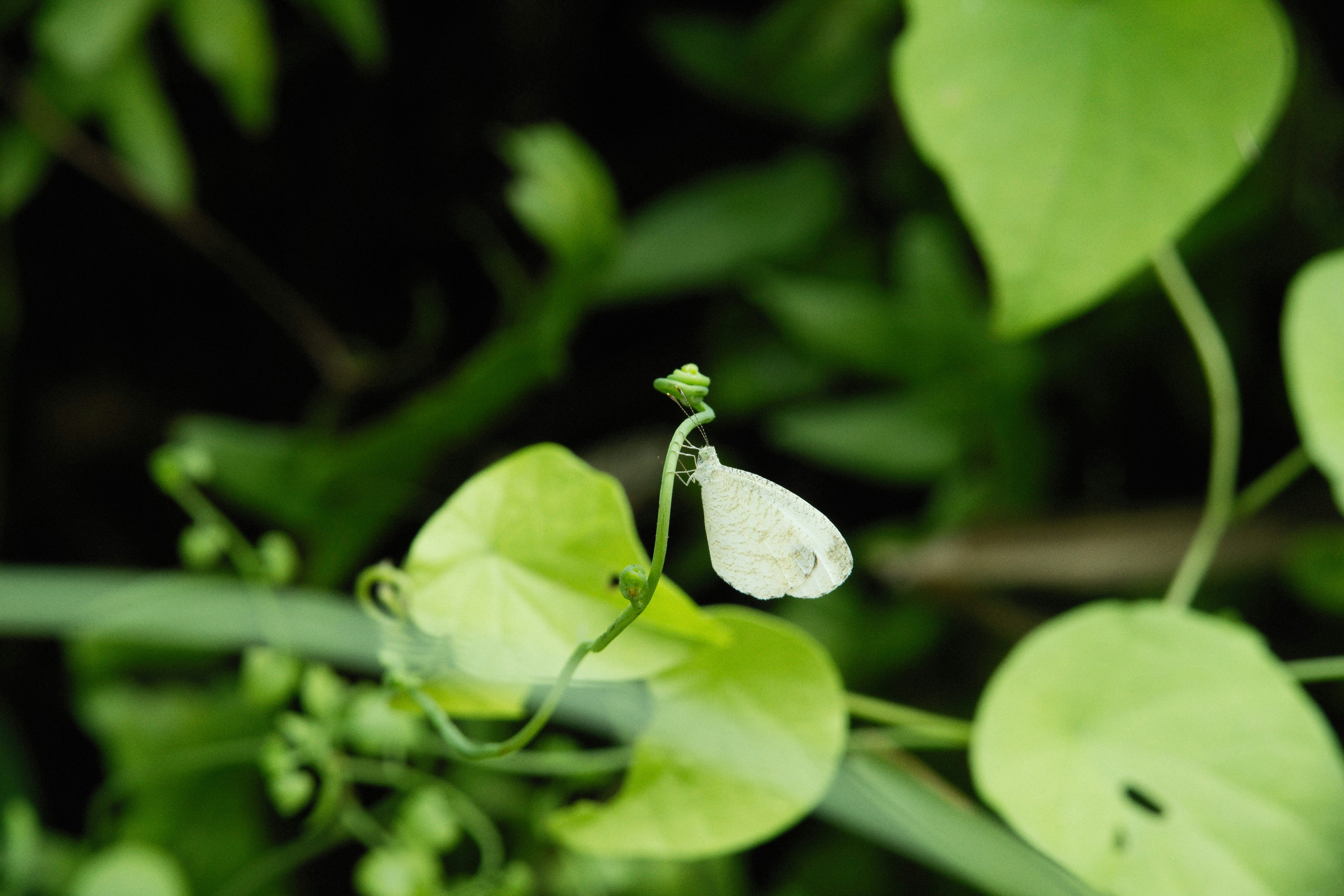 Photo by alexeydemidov