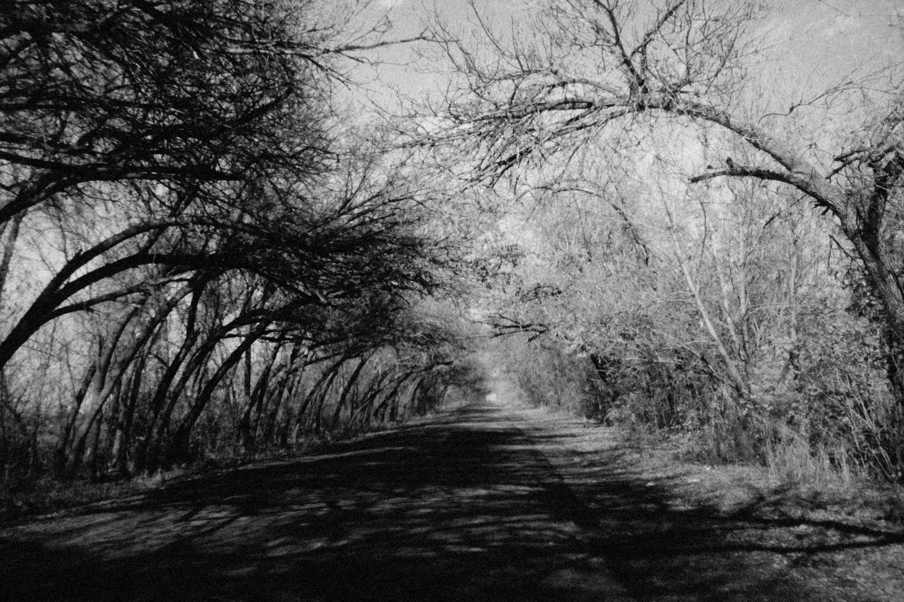 Photo by alexeydemidov